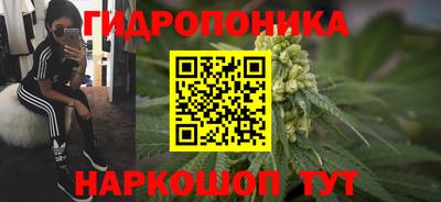 мдпв Рузаевка