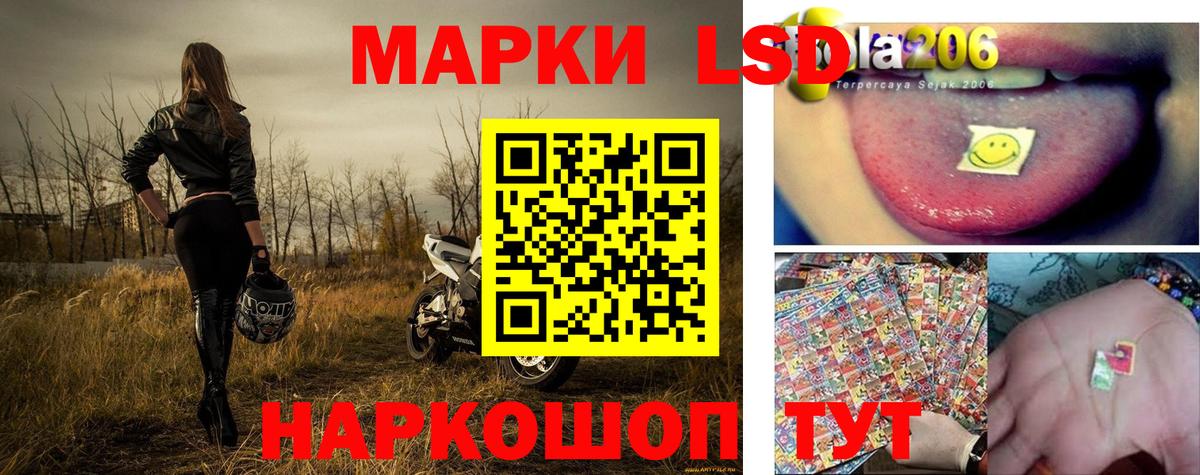 продажа наркотиков  Наркотические марки 1500мкг  Наркотические марки 1500мкг  Вход с VPN  Сосновоборск  Наркотические марки 
