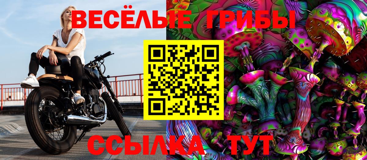 Галлюциногенные грибы Psilocybe Сосновоборск