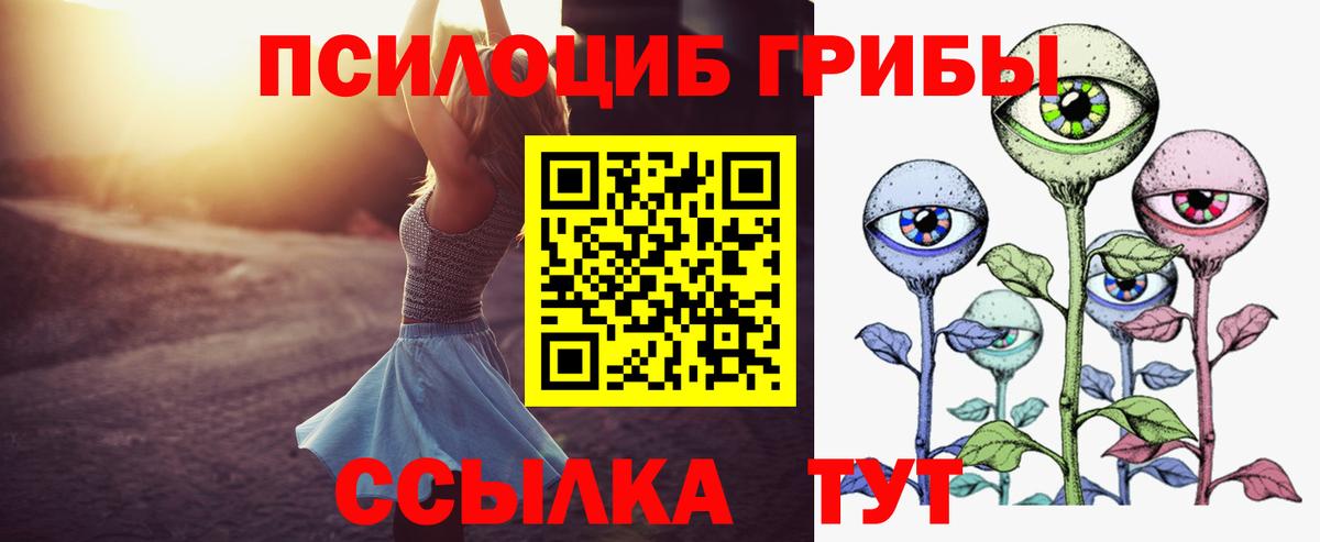 Псилоцибиновые грибы GOLDEN TEACHER  хочу наркоту  Вход с VPN  Сосновоборск  Галлюциногенные грибы прущие грибы 